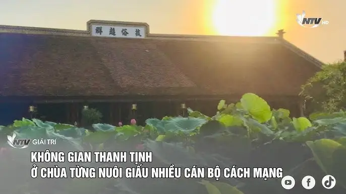 Nằm mơ thấy mình ngoại tình với người khác: Giải mã điềm báo tâm linh 7 Cân Bằng Âm Dương, Ngôi Chùa Thanh Tịnh.