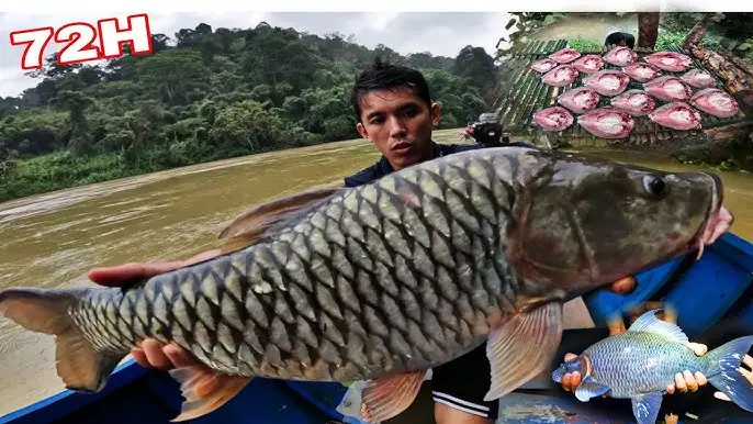 Nằm Mơ Bắt Cá: Giải Mã Điềm Báo, Hóa Giải Nỗi Lo, Sống An Tâm 3 Thành quả bắt cá: lớn và nhỏ