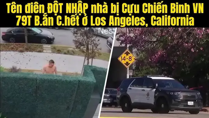 Ý Nghĩa Tên Điền: Phân Tích Hán Việt, Ngũ Hành Phong Thủy Và Tính Cách