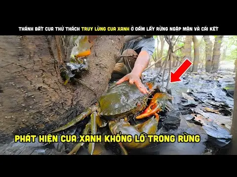 Cảnh bắt cua đa dạng, phong phú.