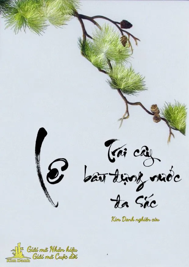 Phân tích sâu sắc về ý nghĩa tên Lê theo góc độ phong thủy và Hán Việt