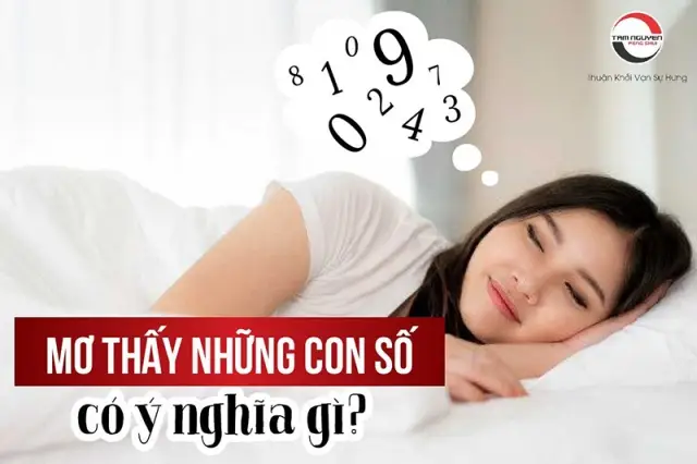 Nằm Mơ Thấy Cua: Giải Mã Sâu Sắc Điềm Báo và Lời Khuyên An Tâm 7 Sổ mơ: Khám phá ý nghĩa con số.