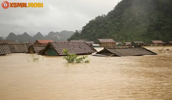 Người suy tư về giấc mơ nước ngập.