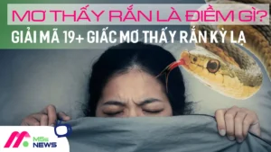 Suy tư ý nghĩa giấc mơ rắn.