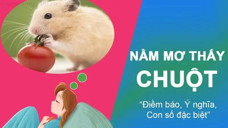 Giải mã số may mắn từ giấc mơ chuột