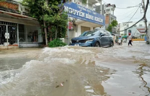 Con đường ngập nước: Trong, đục, chảy xiết