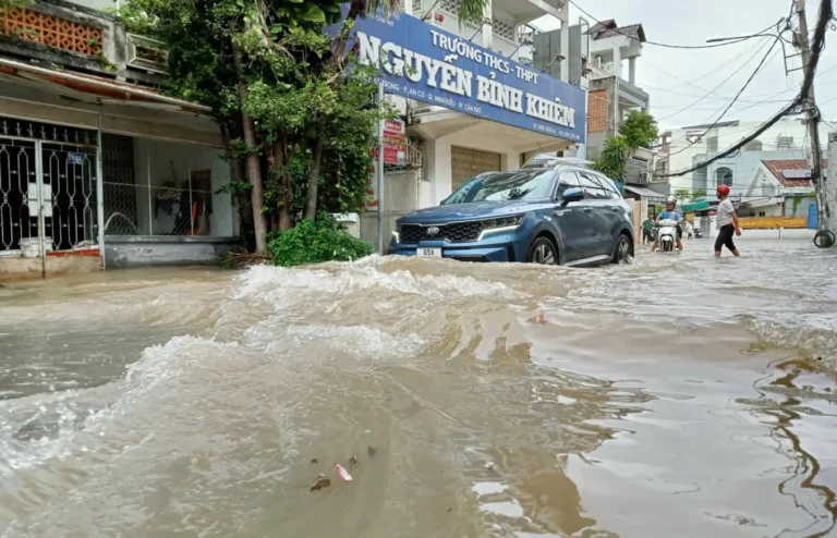 Con đường ngập nước: Trong, đục, chảy xiết