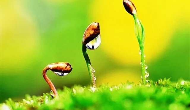 Ý nghĩa tên Kai và nguồn gốc đa văn hóa của cái tên đặc biệt này