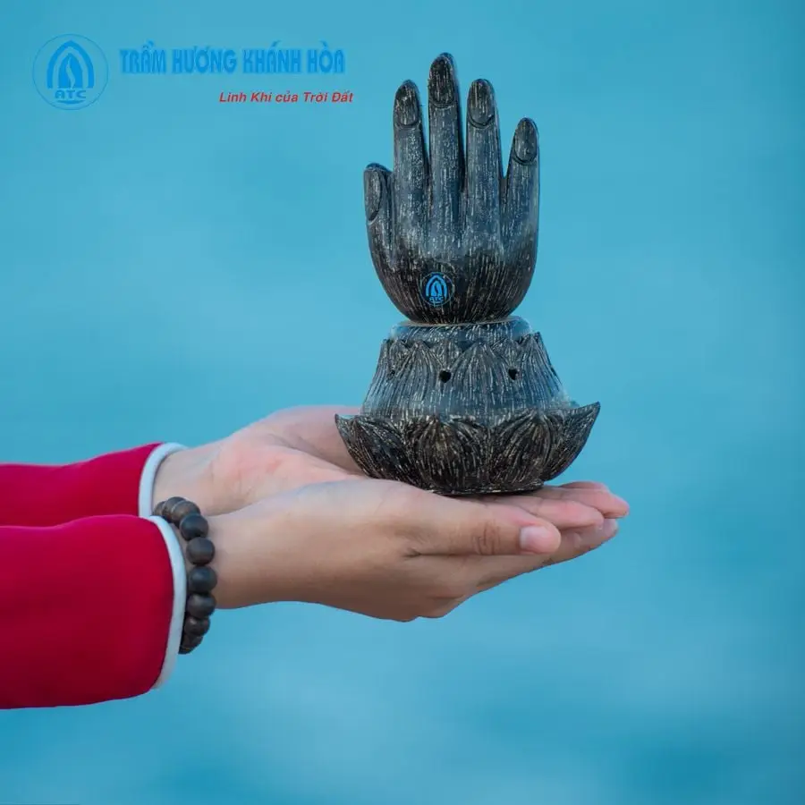 Nằm Mơ Thấy Câu Được Cá Trắng: Giải Mã Điềm Báo & Hóa Giải Cuộc Sống 6 Bàn tay chạm nước: Thanh lọc, bình an.