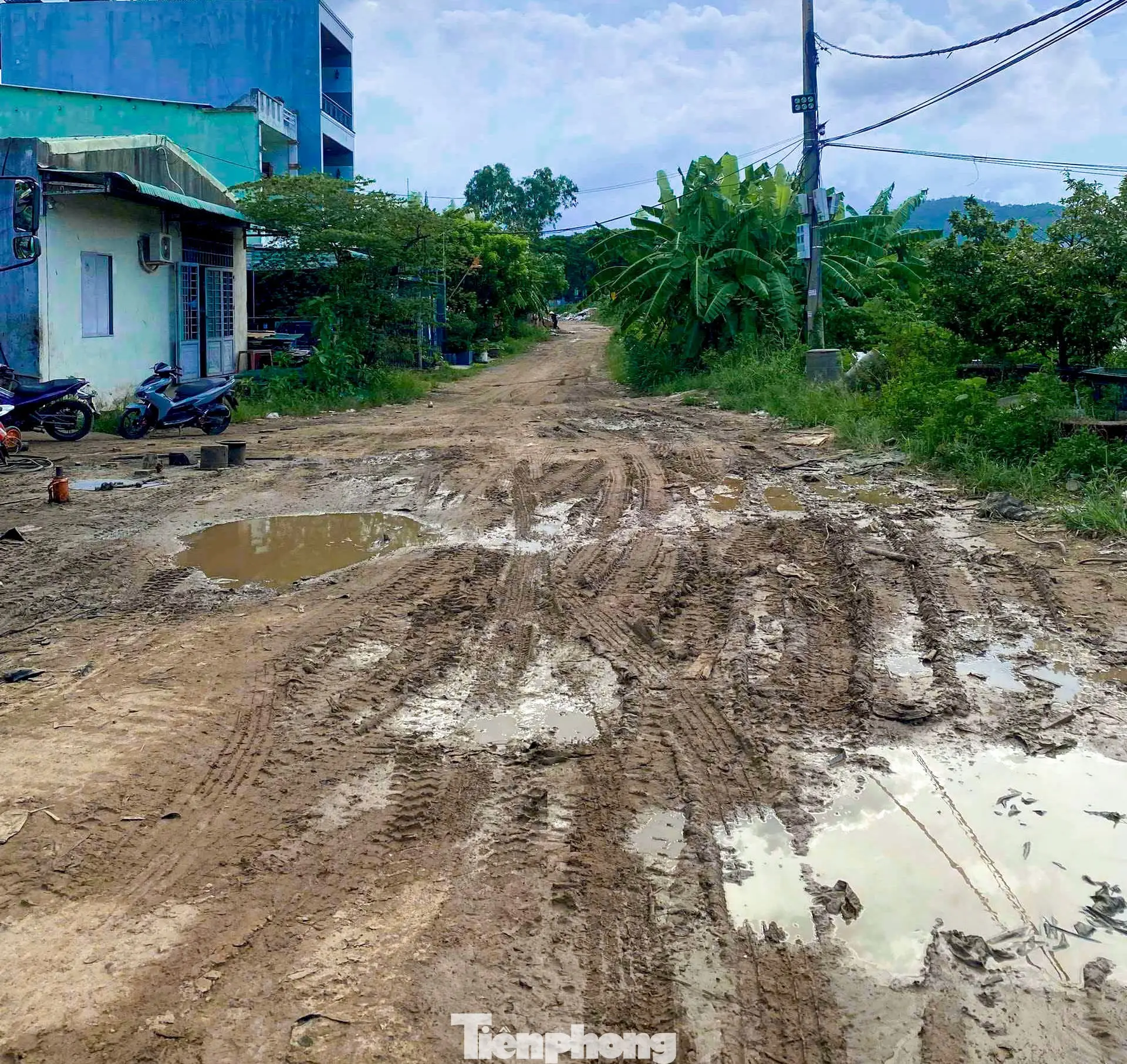 Giải Mã Giấc Mơ Thấy Nước Ngập Đường: Điềm Lành Hay Dữ? 3 Đường ngập nước trong xanh và bùn lầy dưới nắng.