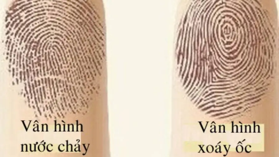 Giải Mã Giấc Mơ Thấy Nhiều Ốc: Điềm Báo & Hướng Hóa Giải An Tâm 6 Bàn tay gỡ ốc: Biểu tượng giải quyết vấn đề.