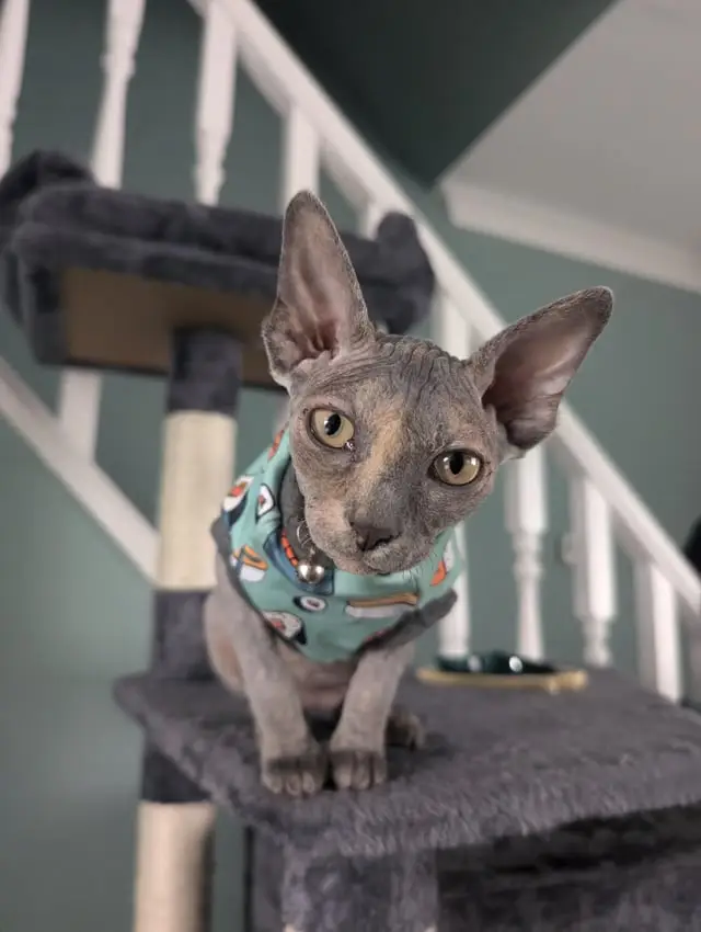 Biệt Danh Dễ Thương Cho Bé Gái: Gợi Ý Tên Ở Nhà Đáng Yêu Và Ý Nghĩa