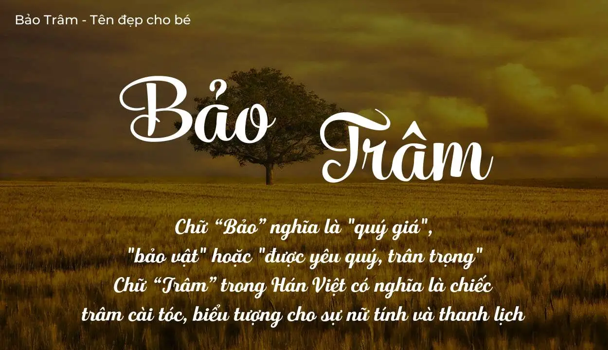 Ý Nghĩa Tên Bích Trâm | Phân Tích Chuyên Sâu Theo Phong Thủy Và Lý Số
