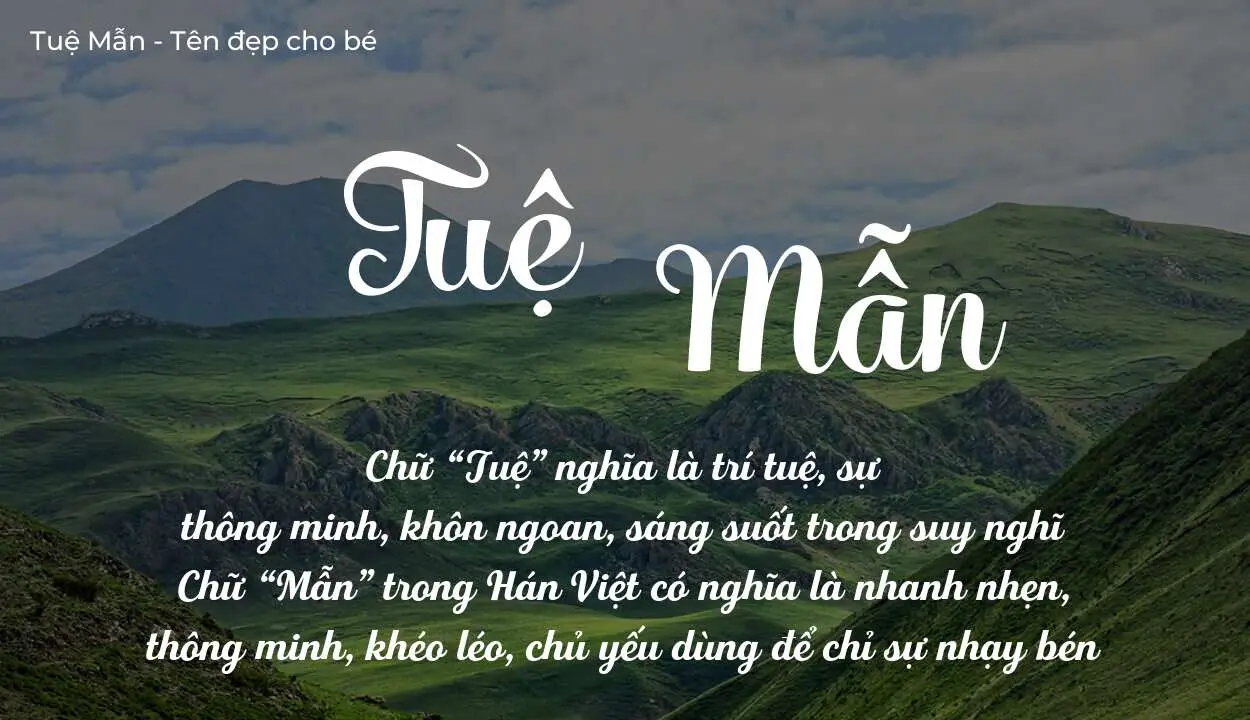 Ý Nghĩa Tên Trần Tuệ Mẫn | Luận Giải Chuyên Sâu Phong Thủy Chính Thống