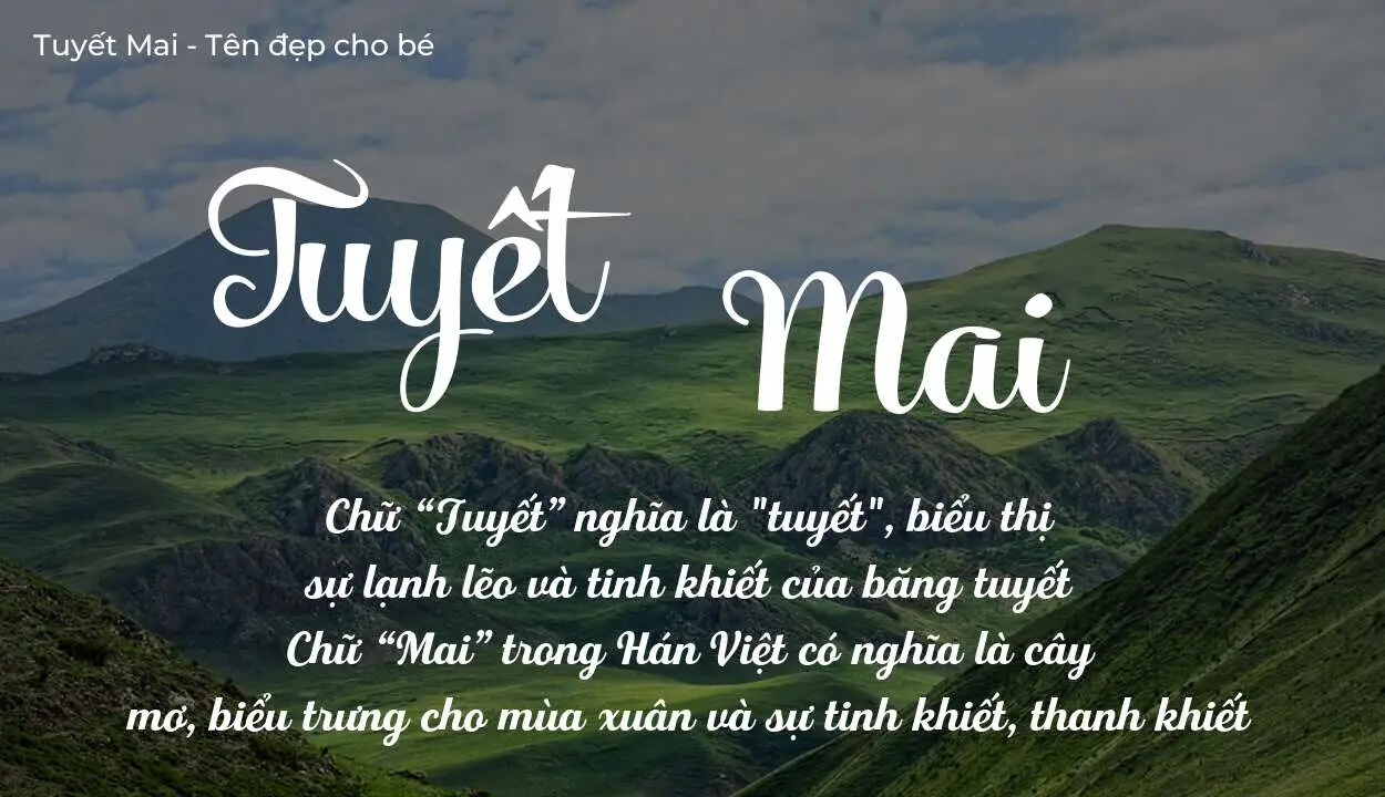 Ý Nghĩa Tên Tuyết Mai | Nhan Sắc, Phẩm Hạnh, May Mắn