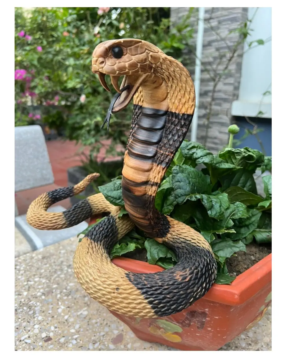 Tượng Rắn Phong Thủy Trong Nhà: Bình An, Tài Lộc.
