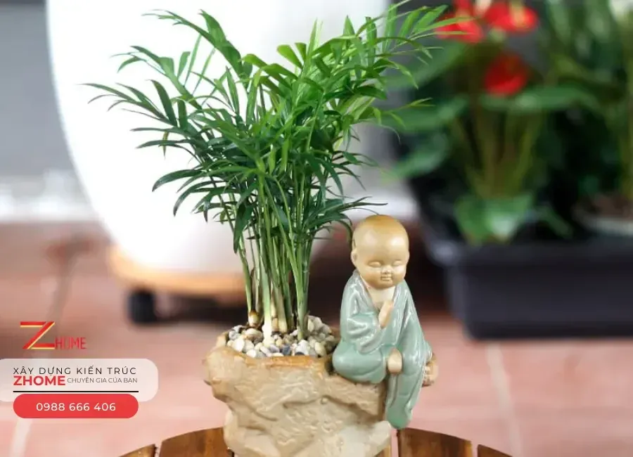 Cây cau tiểu trâm giúp không gian sống luôn trong lành