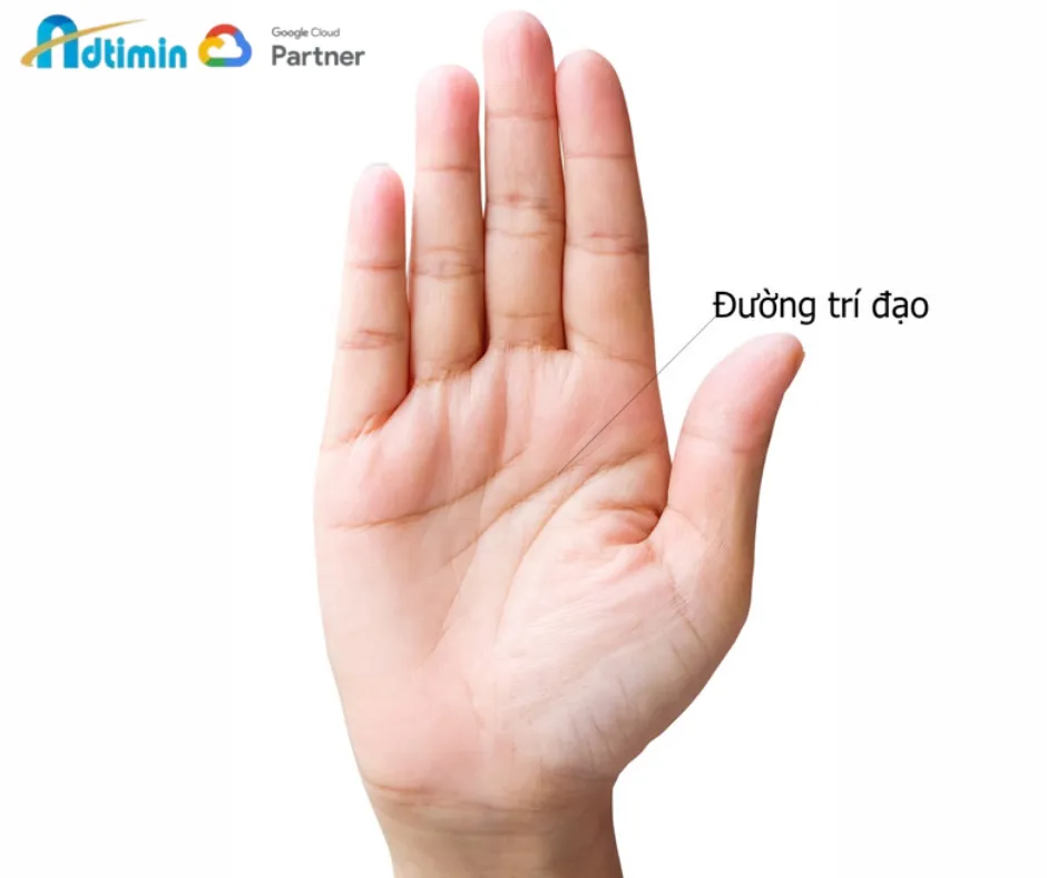 Vị trí đường trí đạo giúp nhận diện khả năng tư duy và học vấn của mỗi người