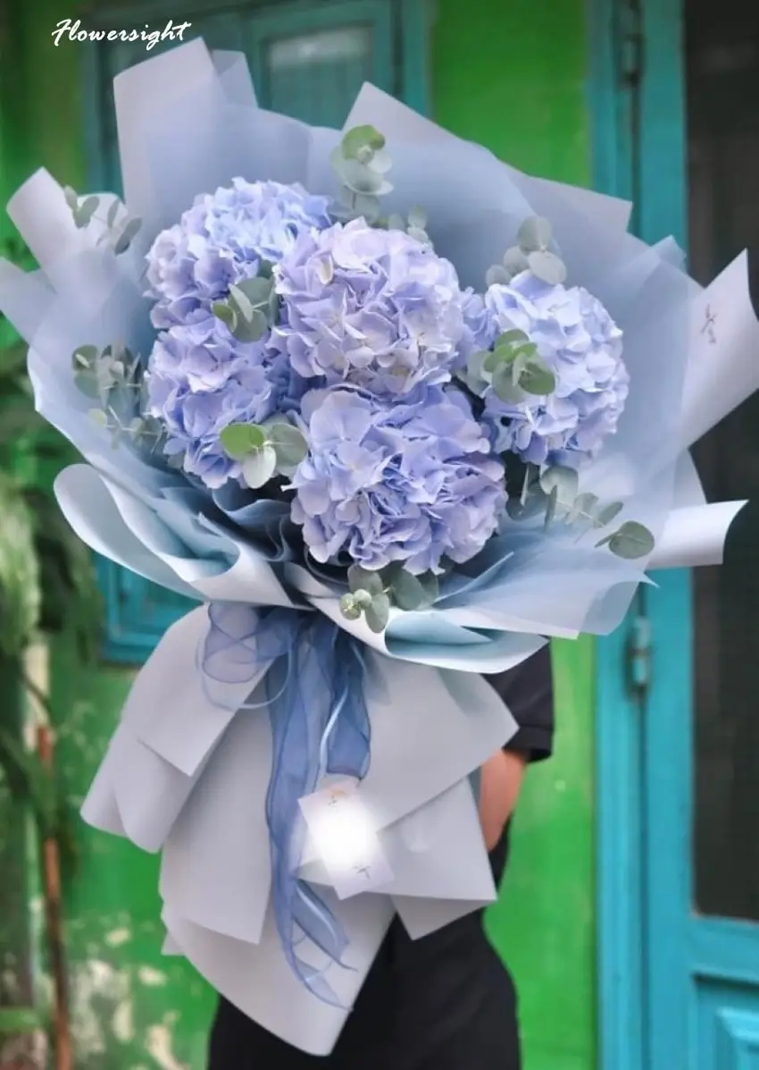 Tặng Hoa Cẩm Tú Cầu Có Ý Nghĩa Gì | Ý Nghĩa Sâu Sắc Và Tinh Tế 5 Tặng Hoa Cẩm Tú Cầu Có Ý Nghĩa Gì | Ý Nghĩa Sâu Sắc Và Tinh Tế