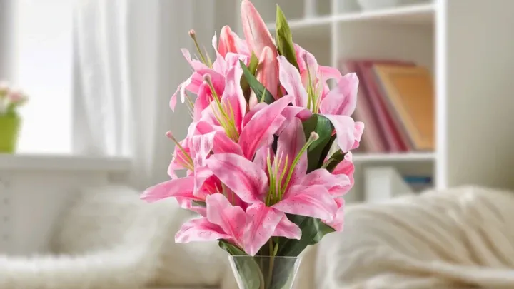 Hoa ly hồng có ý nghĩa sâu sắc, như là biểu tượng của lòng biết ơn và sự kính trọng, hay tượng trưng cho hy vọng vào tương lai tươi sáng.