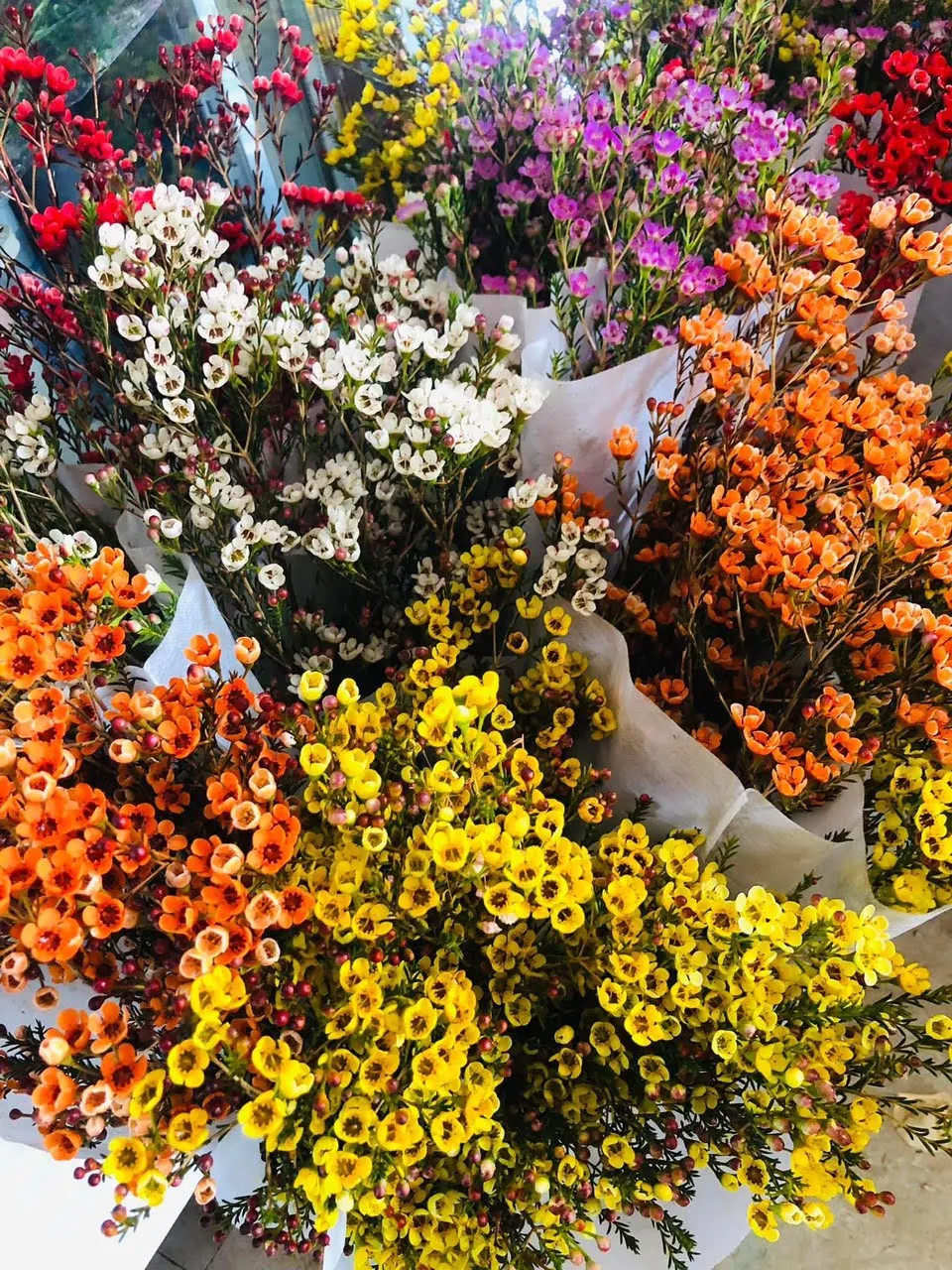 Bó Hoa Thanh Liễu