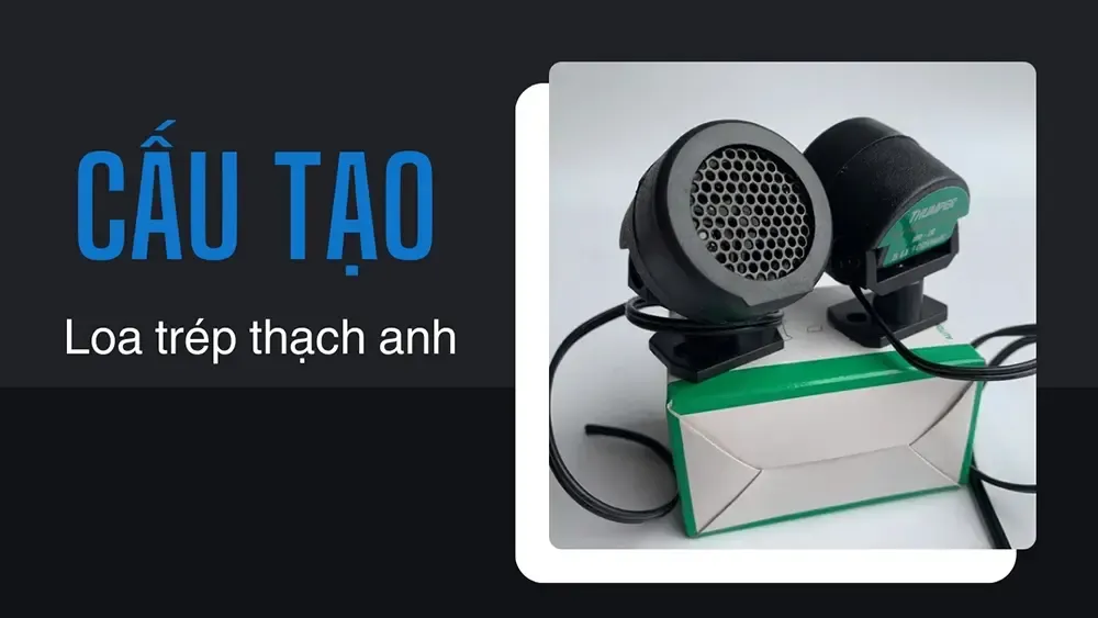 Cấu tạo loa trép thạch anh
