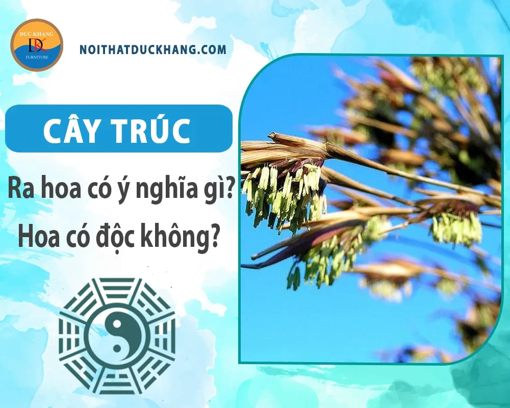 Cây trúc là nguồn cảm hứng bất tận trong thơ ca và hội họa truyền thống Á Đông
