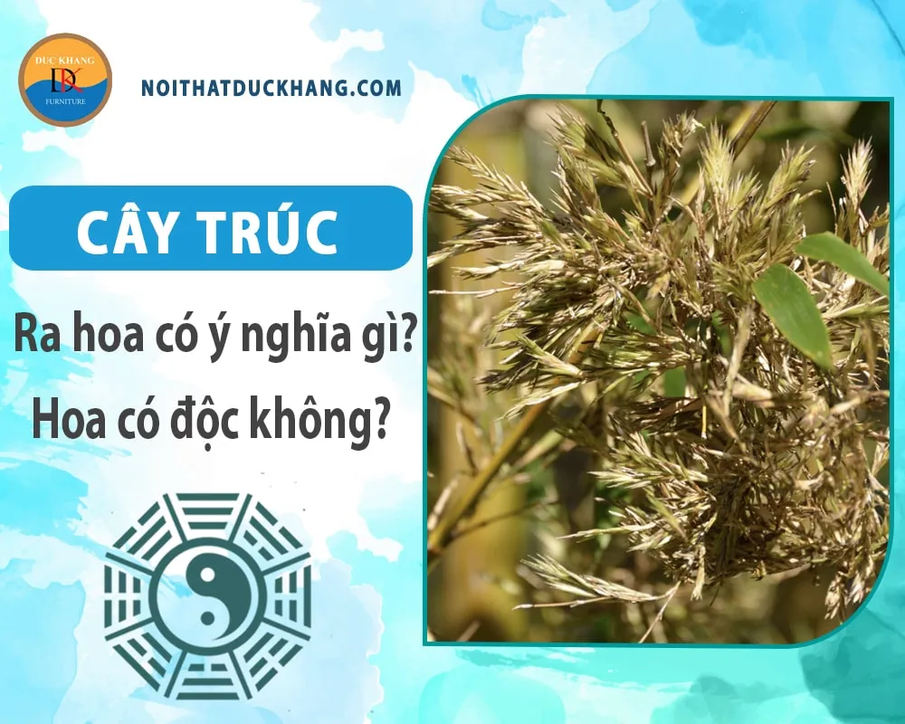 Cây trúc là lựa chọn hàng đầu cho những không gian sống xanh và đậm chất tâm linh