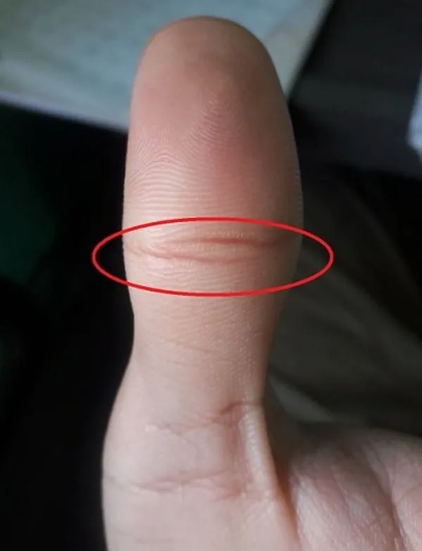 Dấu hiệu đường chỉ tay mắt phượng mang lại trí tuệ và sự hỗ trợ từ quý nhân