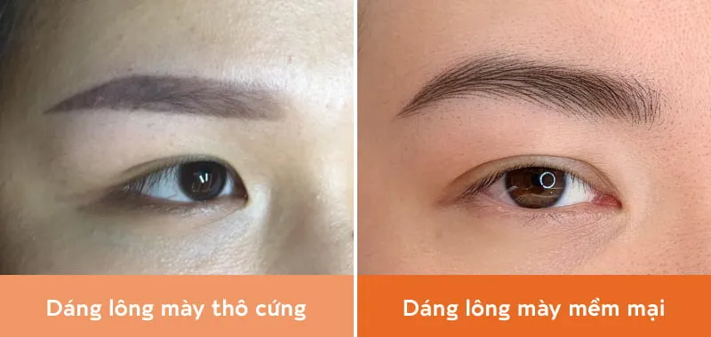 Sự khác biệt của lông mày dáng thô cứng và mềm mại