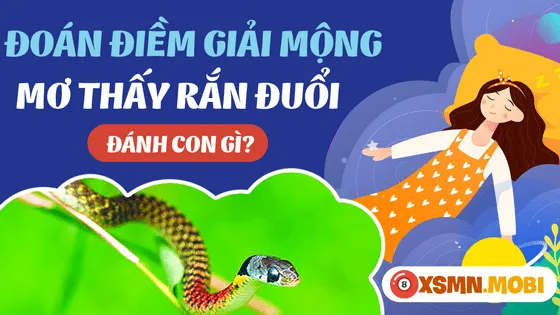Con số may mắn khi mơ thấy rắn rượt đuổi
