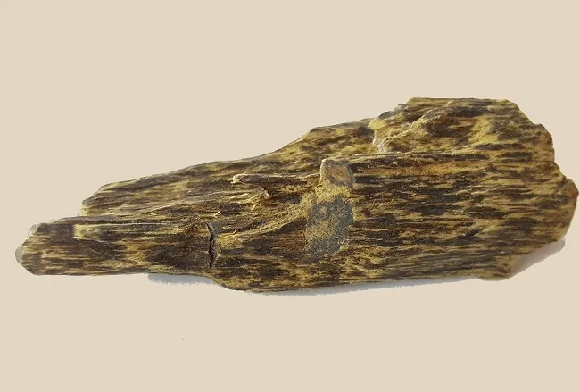 Giá Trầm Hương nụ