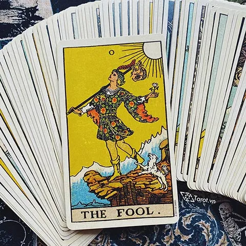 Ý Nghĩa Lá Bài King of Pentacles Trong Tarot 3