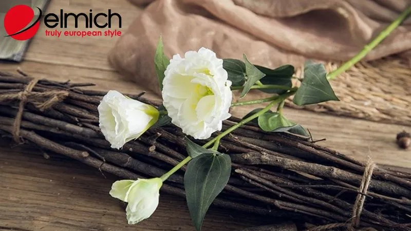 Ý nghĩa của hoa cát tường trong thực tế và theo màu sắc