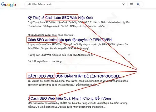 Hình ảnh quả tim người được quan sát qua các thiết bị y khoa hiện đại