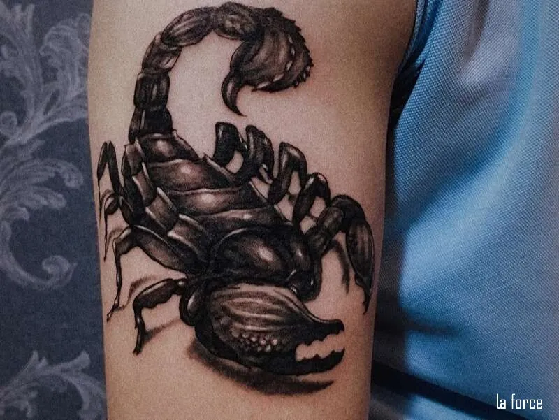 Hình xăm bọ cạp có ý nghĩa gì