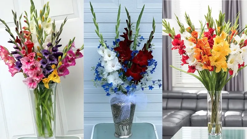 Cách cắm hoa lay ơn đẹp, tươi lâu