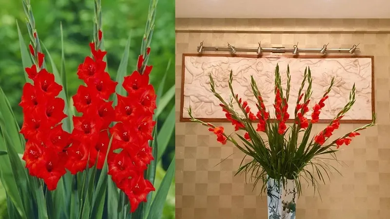 Kiểu này đơn giản nhưng sang trọng, quý phái