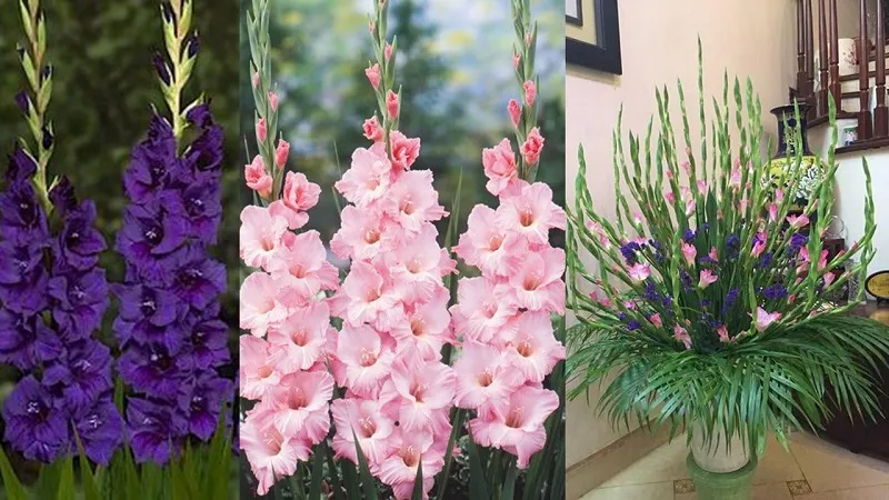 Kiểu này thể hiện sự sung túc, đầm ấm