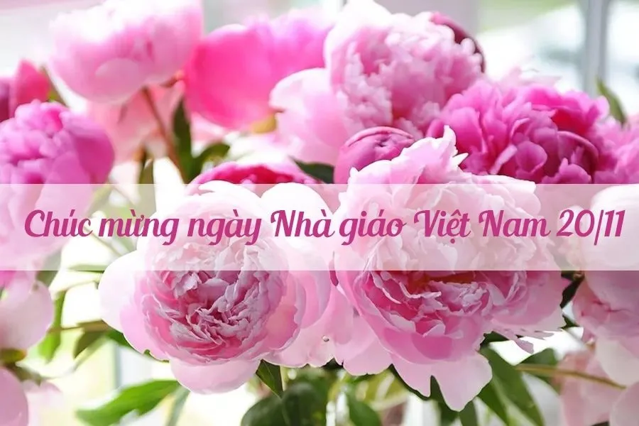 Nhân ngày Nhà giáo Việt Nam, xin được gửi tặng tới các thầy, cô những lời chúc tốt đẹp nhất