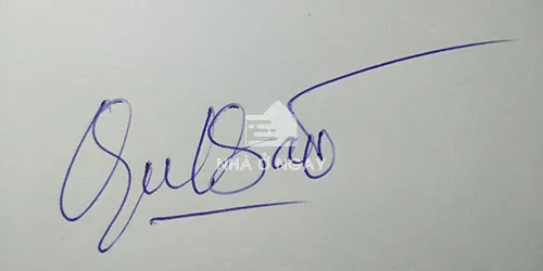 chữ ký phong thủy mệnh hỏa mẫu 1