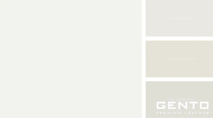 Các loại màu trắng phổ biến thường gặp trong đời sống