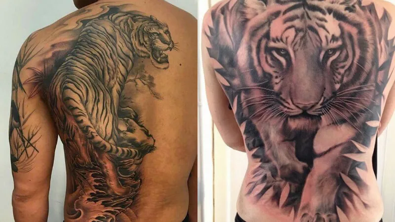 Hình xăm hổ hay cọp toàn lưng ý chỉ sự uy quyền, thông minh và sắc bén