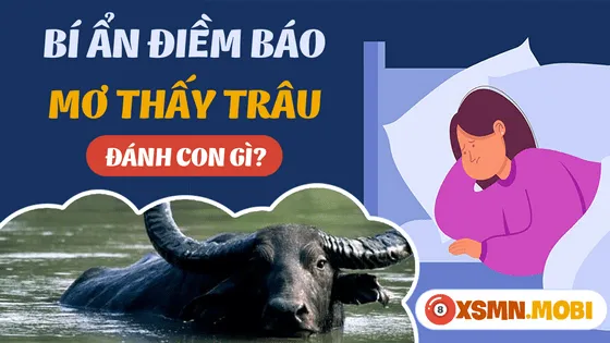 Hình ảnh minh họa giấc mơ thấy trâu