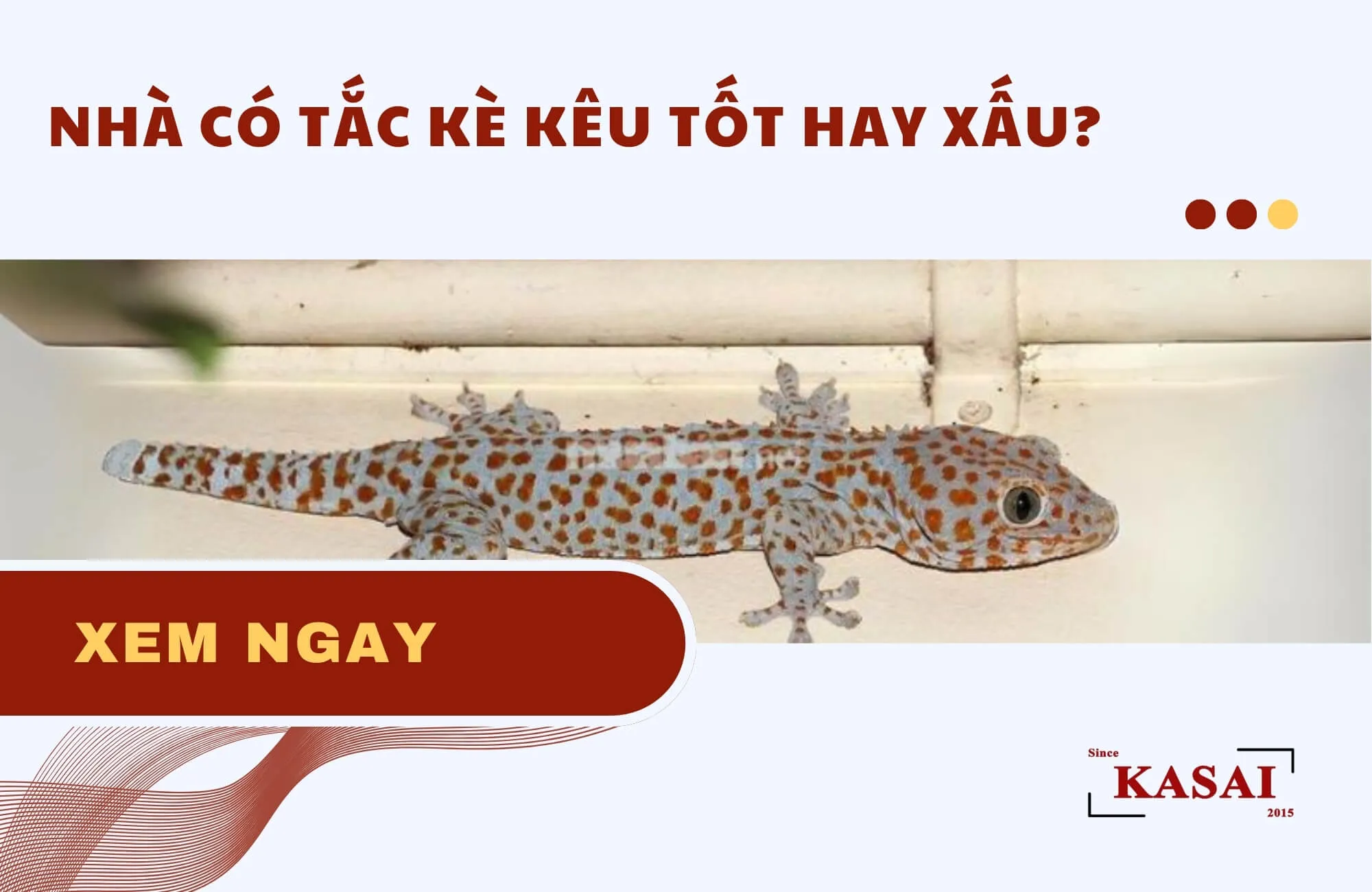 Giải mã chi tiết: Tắc kè kêu 13 tiếng là điềm báo gì?