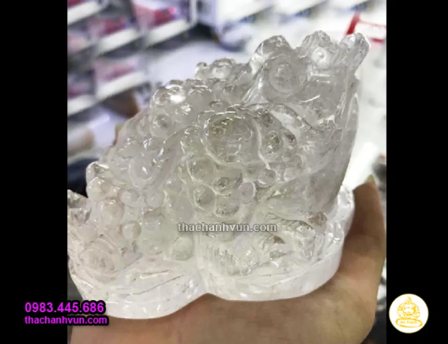 Thiềm Thừ có thể miệng ngậm tiền hoặc không