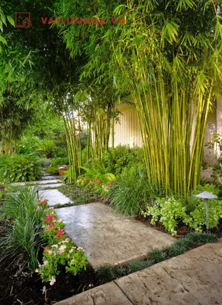 Cây trúc mang lại sự may mắn cho gia chủ