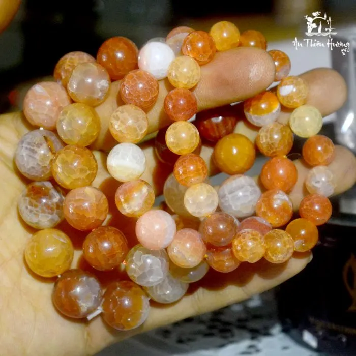 Mã não rạn hồng với vẻ đẹp độc bản thu hút mọi ánh nhìn