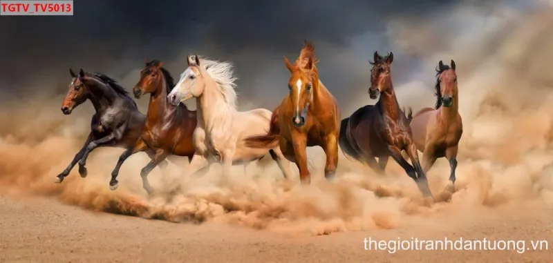 Bức tranh chín con cá chép bơi lội bên hoa sen thanh khiết