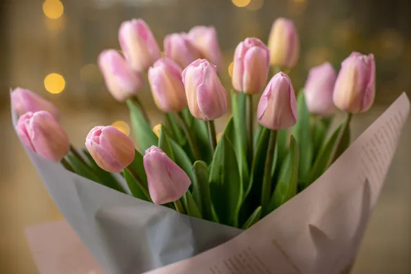 Ý nghĩa màu sắc của hoa